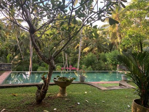 Bandaranayake Bed & Breakfast | Sri Mathie Historic Estate