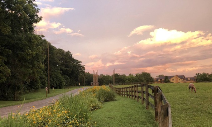 Ozark Apartment | St. Noel Sassafras Suite at Camp Ondessonk