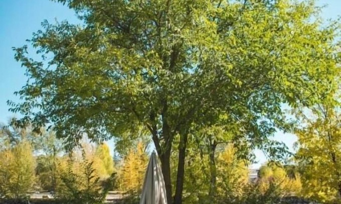 Salmon Hotel | Stagecoach Inn