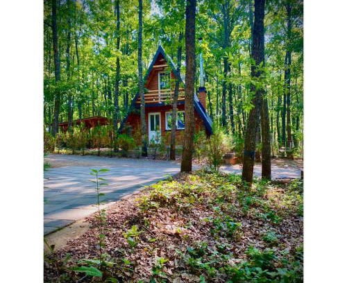 Bresalc Villa | STANET Forest Houses