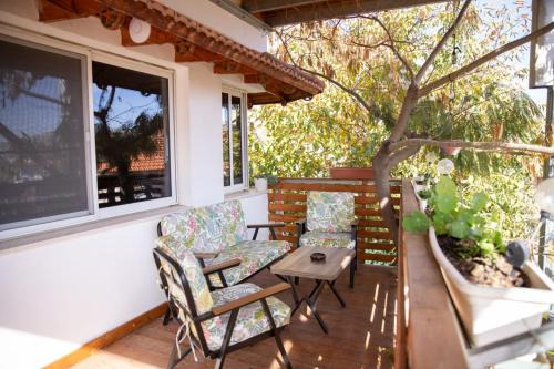 Majdal al-Shams House | Star Suite - Rural experience - Northeast point