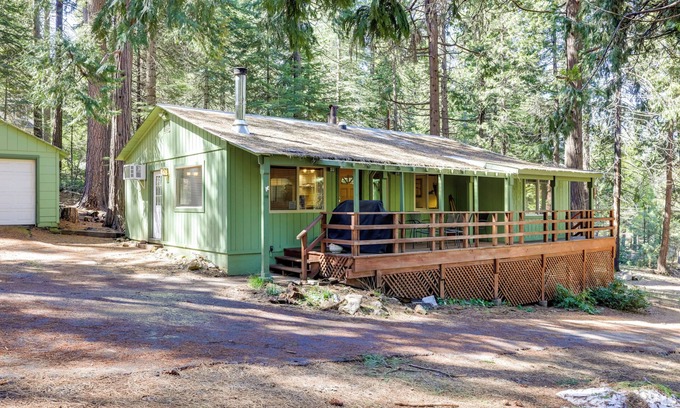 Glencoe Cabin | Stay Near Big Trees, Bring Your Pets: Arnold Cabin