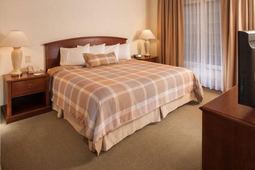 San Pedro Garza Garcia Hotel | Staybridge Suites Monterrey San Pedro by IHG