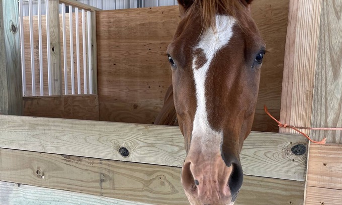 Rowland RV Rental | Staying on a working horse farm