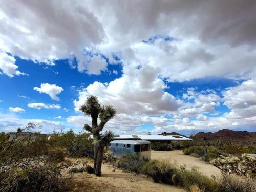 Joshua Tree Highlands Villa | Steph's Panorama Paradise-Nat'l Park minutes away