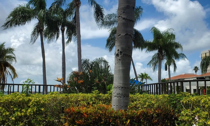 Isla del Sol Condo | Steps away from the pool with Ultimate water views!