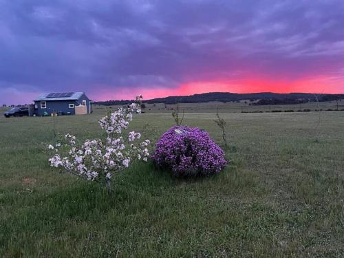 Lade Vale Apartment | Storm Cottage Off Grid Escape