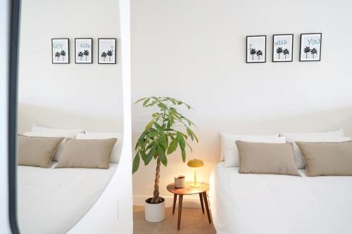 Chayofa Apartment | Studio 10/Tenerife