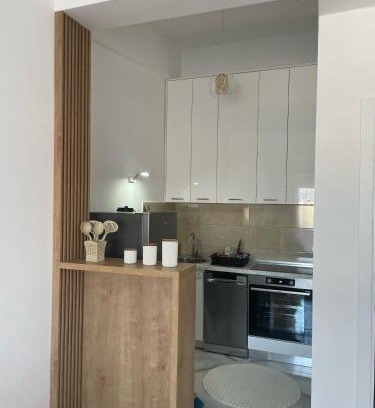 Podgorica Apartment | Studio 78 - Tuški put
