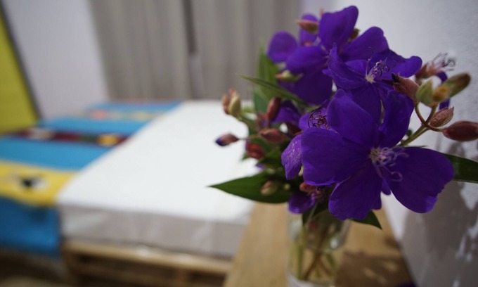 La Fortuna Apartment | Studio con Vistas Unicas al Volcan Arenal a 3mint del Centro de La Fortuna