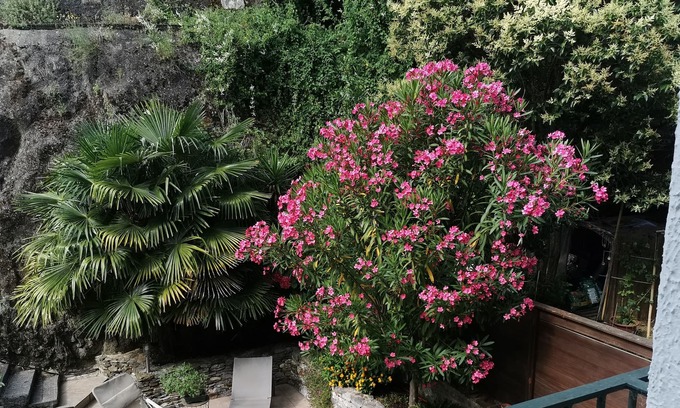 Amelie-les-Bains-Palalda Apartment | Studio Agréable et Confortable, Terrasse, Climatisation, Wi fi, Télé