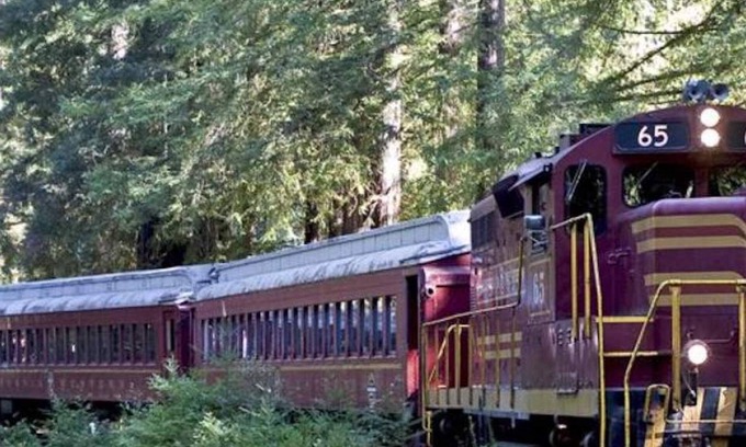 Willits Cottage | Studio in Town Center - between the Beach and Giant Redwoods