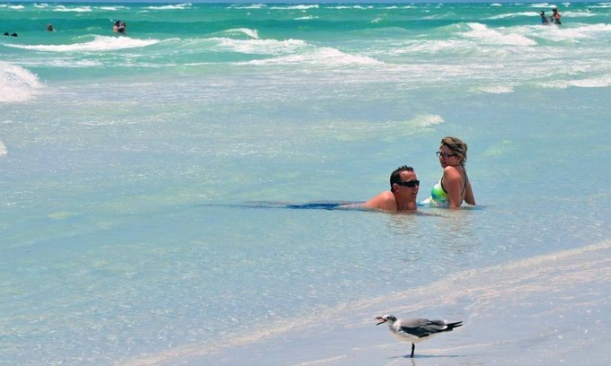 Palma Sola Cottage | Studio Stand Alone with Shared Pool and FREE WiFi Close to Anna Maria Island