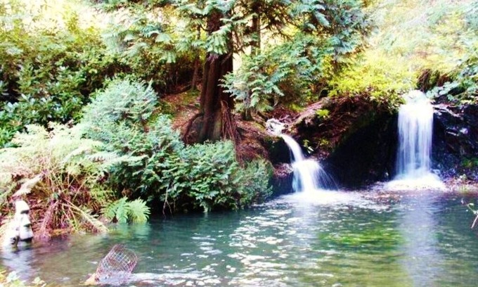 Llanidloes House | Stunning panoramic views & 2 acre woodland with 5 pools, waterfalls & 17 benches