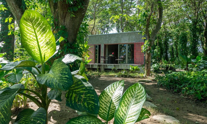 Sabaneta de Yasica Cabin | Stylish Jungle Cabin – Riverfront Retreat with Hammocks & Wi-Fi