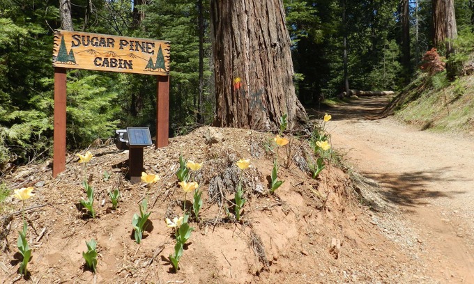 Mariposa Cabin | Sugar Pine Cabin in beautiful Mariposa Pines