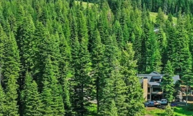 Tamarack Resort House | Sugarloaf Summit @ Tamarack Resort | Insta-Worthy SKI IN/OUT Mountain Modern Estate