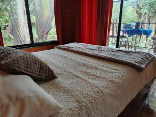 Roble Bed & Breakfast | Suite y Loft Casa Toría