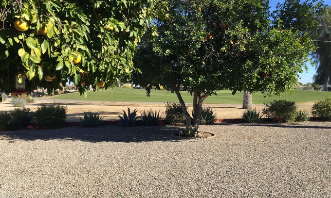 Sun City House | SUN CITY AZ, 17th HOLE OF GOLF CRS LOCATION, MIN. 30+ NT STAYS