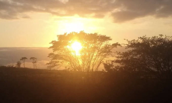 Novo Gravata House | Sunflower Corner