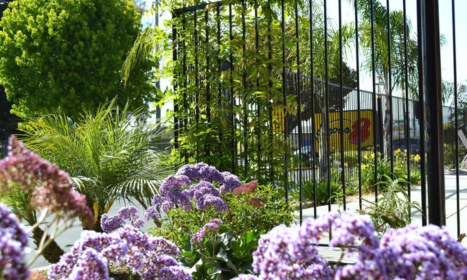 Salinas Hotel | Super 8 by Wyndham Salinas