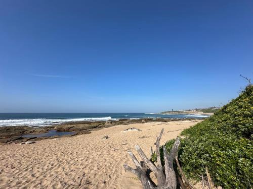 Shelly Beach Apartment | Surf Bay Sands 35