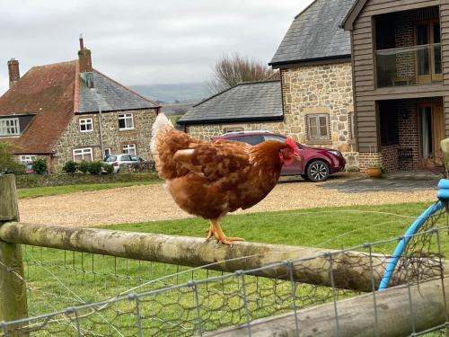 Shorwell House | Surf Shack 1-Bed Cottage Sleeps 2 Pet Friendly