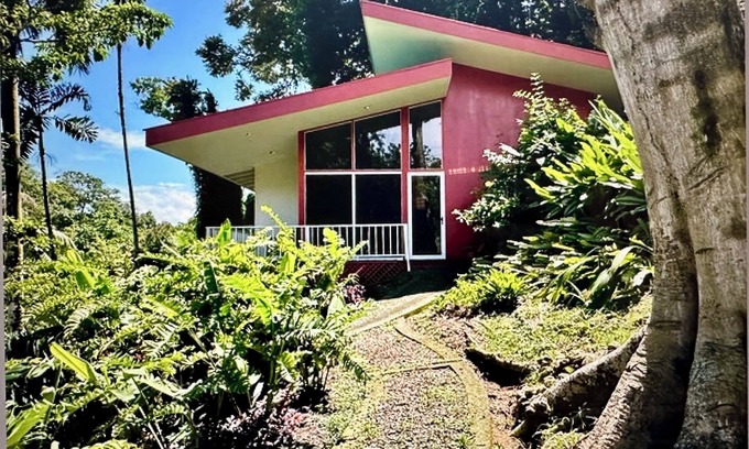 Pavones House | Surf Shack- Set in Jungle, Walk 2 Beach, WiFi, & Back-Up Power in Outages