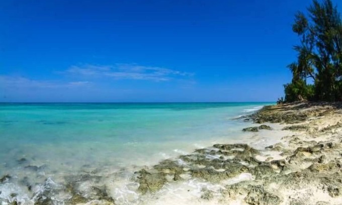 Wete Cabin | Swahili Divers & Gecko Nature Lodge