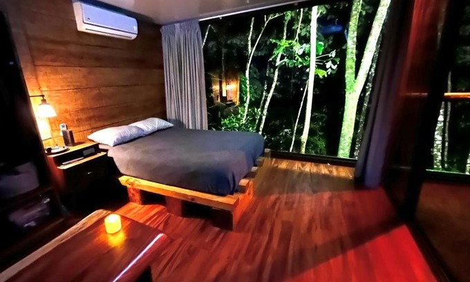 Quesada Apartment | Sweet Jungle