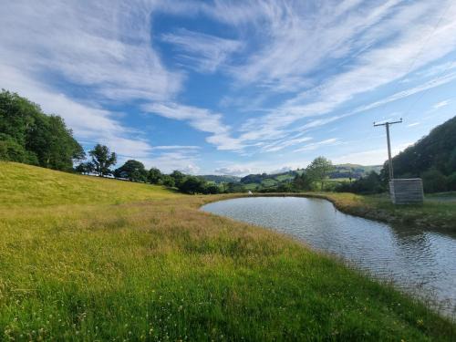 Llanfyllin Other | Sylvan Spaces