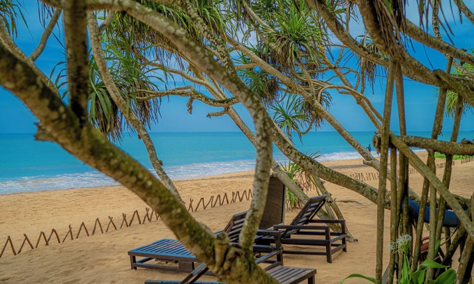 Induruwa Hotel | Temple Tree Resort & Spa