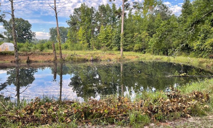 Little Rock Other | Tentrr Signature Site - The Great Southern Jordan Ranch & Family Farms