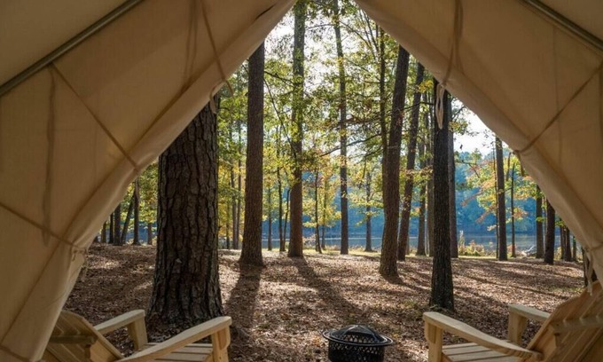 Morton RV Rental | Tentrr State Park Site - Mississippi Roosevelt State Park - Tall Trees C - Singl