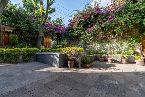 Coyoacan House | Terraza & Loft San Ángel