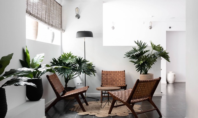 El Terreno Apartment | Terreno Suites