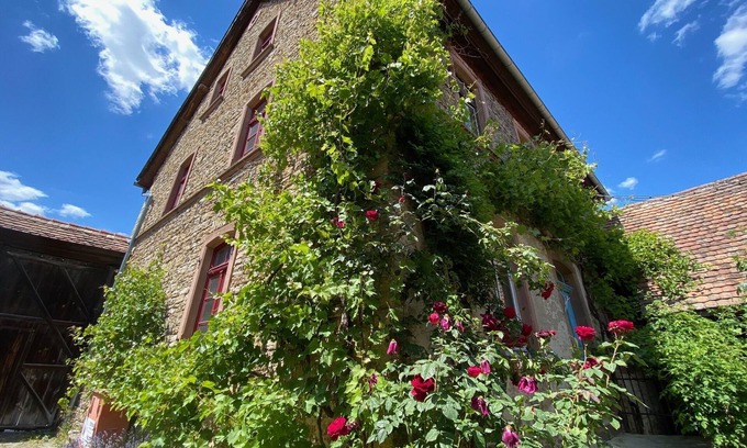 Bockenheim an der Weinstrasse Apartment | The 74 - Bel Etage