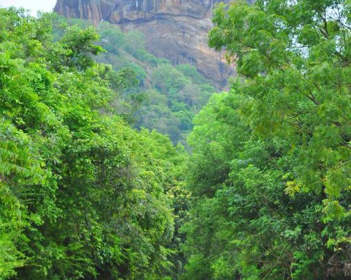 Sigiriya House | Thal Sewana