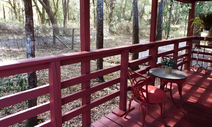 Dunnellon House | The Back Porch - The Florida Green-way from the comfort of the porch.