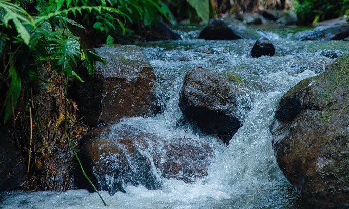 Filandia House | The best location near Panaca, Parque del Cafe, Salento and Filandia!