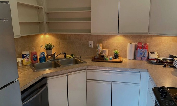 Alexandria Condo | THE Best extended stay in Alexandria!