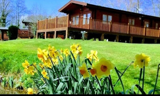 Fordingbridge Ski Chalet | The Birches Log Cabin & Hot Tub