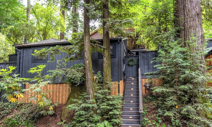 Guerneville Cabin | The Black Nest~Elegant Redwood Sanctuary w/5 Stars Reviews! WIFI/HotTub/Pup