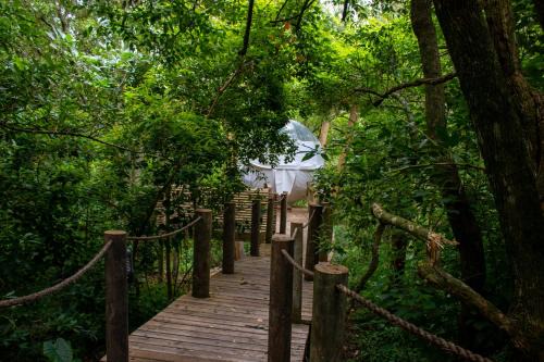 Storms River Other | The Cacoon Tsitsikamma