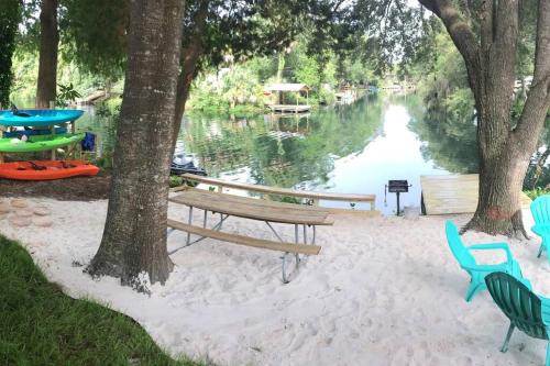 Weeki Wachee Gardens House | The Chuby Mermaid - Weeki Wachee River Access Waterfront with Paddlecraft