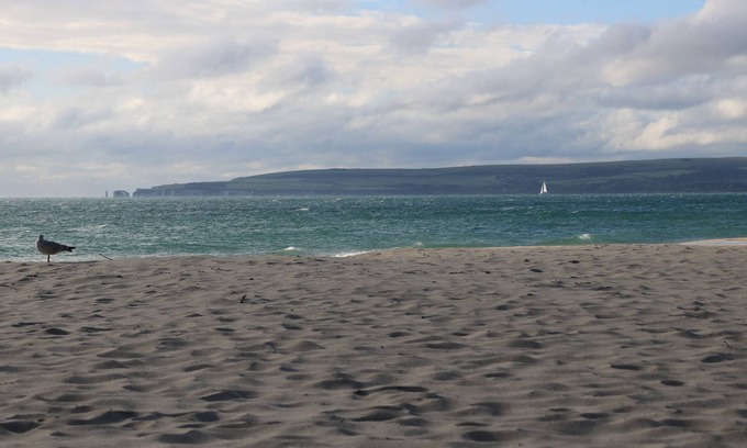 Wimborne Cottage | The Cottage