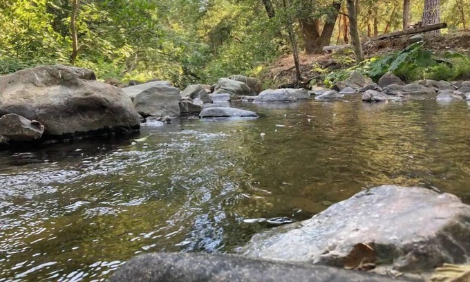 Brownsville House | The Creek House in the heart of gold country