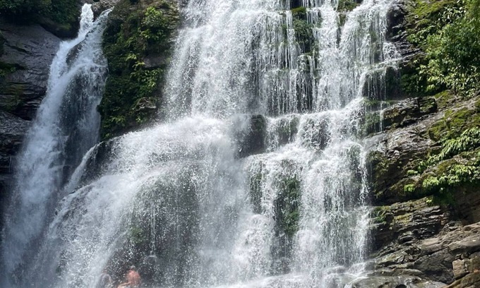 Palma Quemada Apartment | The Diamond Suite with 360 Degree Ocean, Jungle/Mountain Views!