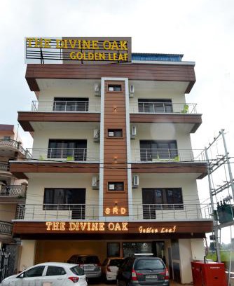 Katra Hotel | The Divine Oak Golden Leaf