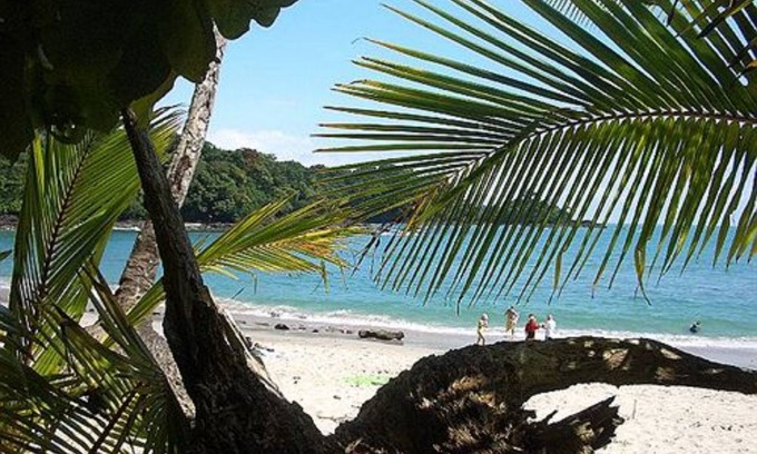 Manuel Antonio Resort | The Falls Resort at Manuel Antonio